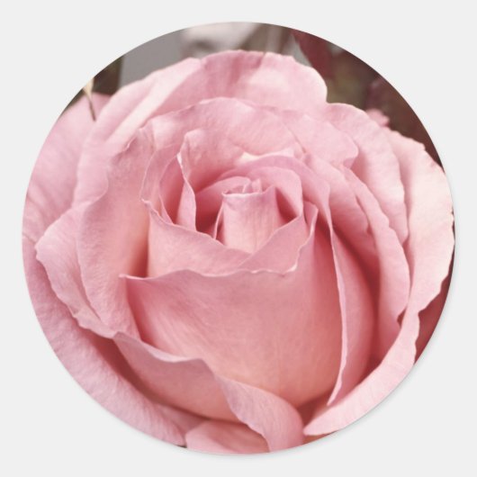 Bloemen 137 ronde sticker (Voorkant)