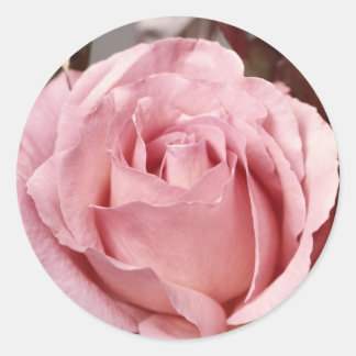 Bloemen 137 ronde sticker