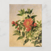 Bloemen, 1835 briefkaart (Voorkant)