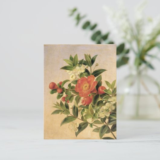 Bloemen, 1835 briefkaart (Staand voorkant)