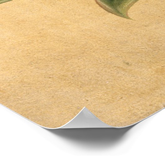 Bloemen, 1835 poster (Hoek)