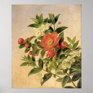 Bloemen, 1835 poster