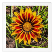 Bloemen 1 Acryl muur kunst