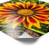 Bloemen 1 foto afdrukken (Hoek)