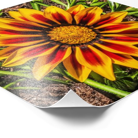 Bloemen 1 foto afdrukken (Hoek)