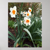 Bloemen 1 poster (Voorkant)