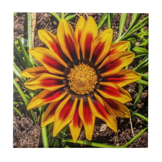 Bloemen 1 Tegel Tegeltje (Voorkant)