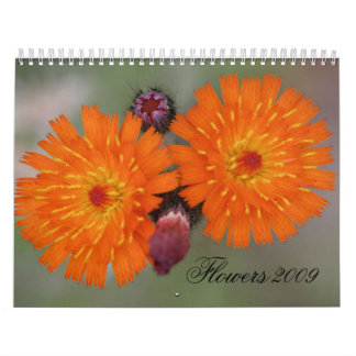 Bloemen 2009 kalender