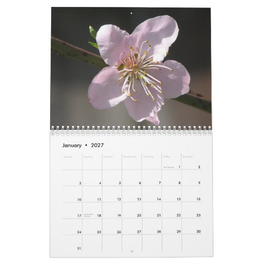Bloemen 2011 kalender (Jan 2027)