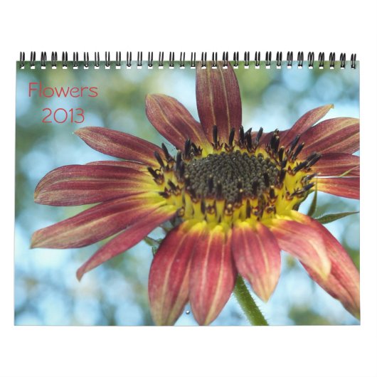 Bloemen 2013 Kalender (Hoes)