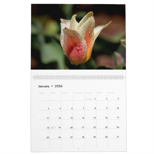 Bloemen 2017 kalender (Jan 2026)