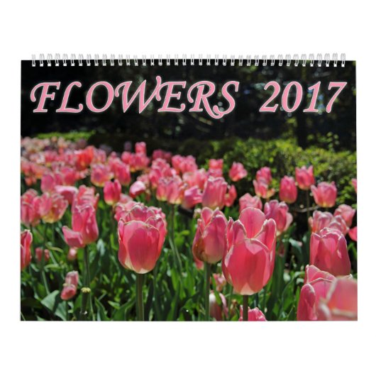 Bloemen 2017 kalender (Hoes)
