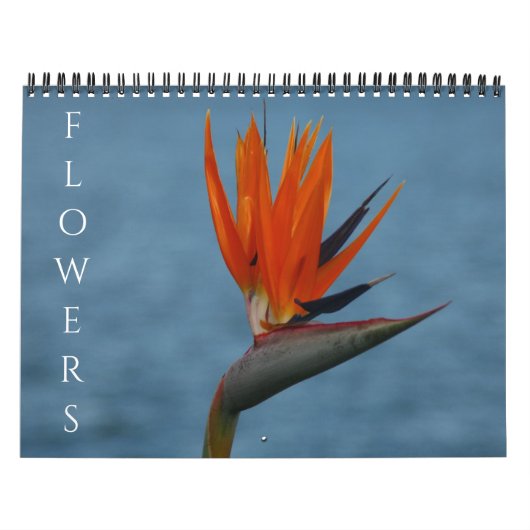 bloemen 2027 kalender (Hoes)