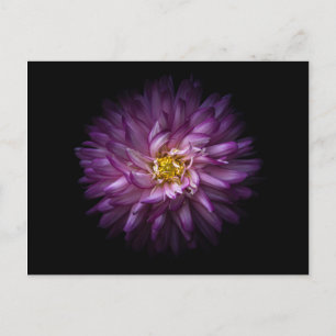 Bloemen 20 briefkaart
