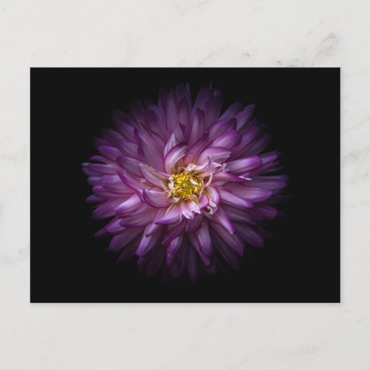 Bloemen 20 briefkaart (Voorkant)