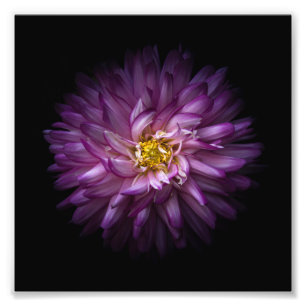 Bloemen 20 foto afdruk