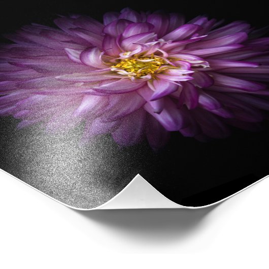 Bloemen 20 foto afdruk (Hoek)