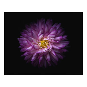 Bloemen 20 foto afdruk