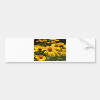 bloemen-2824808 bumpersticker