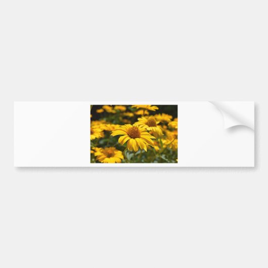 bloemen-2824808 bumpersticker (Voorkant)