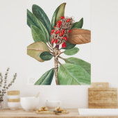 Bloemen 2 poster (Keuken)