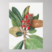 Bloemen 2 poster (Voorkant)