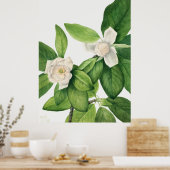 Bloemen 3 poster (Keuken)