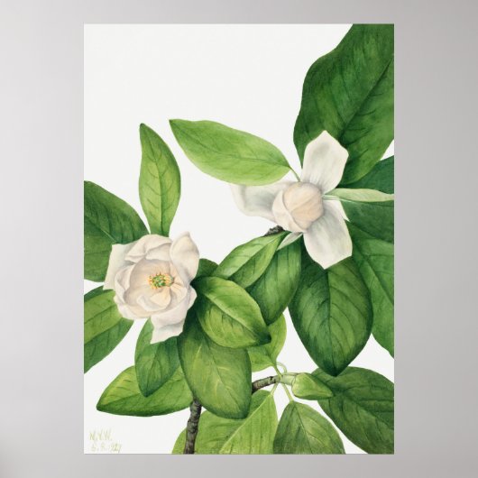 Bloemen 3 poster (Voorkant)