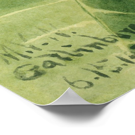 Bloemen 4 poster (Hoek)