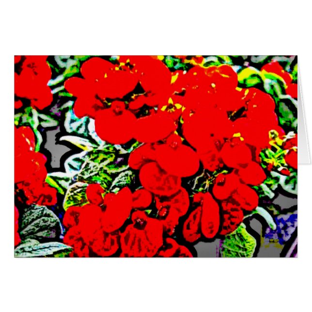 Bloemen 6 (Voorkant Horizontaal)