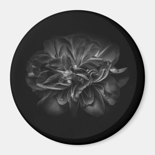 Bloemen 67 W Magneet (Voorkant)