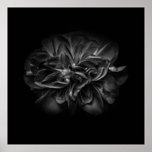 Bloemen 67 W Poster