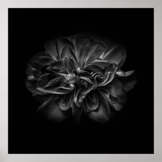Bloemen 67 W Poster (Voorkant)