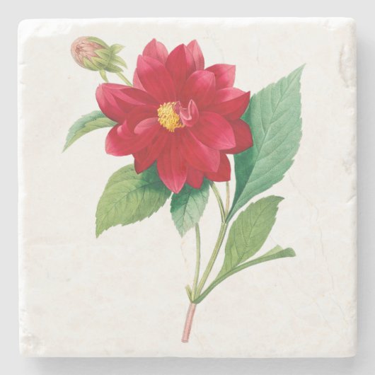 Bloemen: A010 Dhalia Doble Stenen Onderzetter (Voorkant)