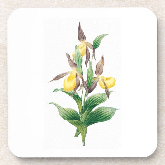Bloemen: A011 Yellow Lady Slipper - Bier Onderzetter (Voorkant)