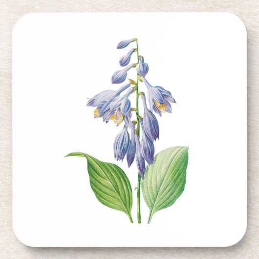 Bloemen: A012 Daylily Bier Onderzetter (Voorkant)