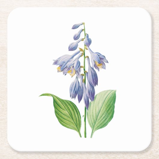 Bloemen: A012 Daylily Kartonnen Onderzetters (Voorkant)