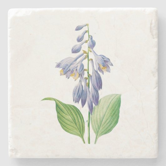 Bloemen: A012 Daylily Stenen Onderzetter (Voorkant)