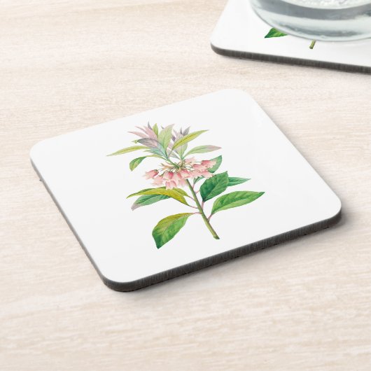 Bloemen: A013 Redvein Enkianthus - Bier Onderzetter (Linkerzijde)