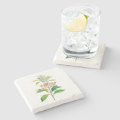 Bloemen: A013 Redvein Enkianthus - Stenen Onderzetter (Zijkant)