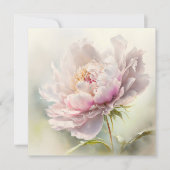 Bloemen achtergrond. Lentebloesem (Voorkant)