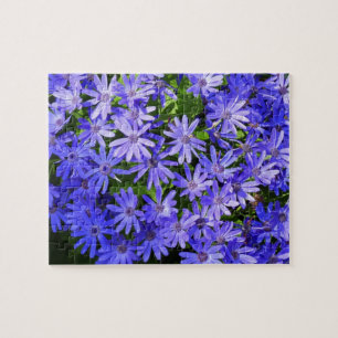 Bloemen als blauwe madeliefjes natuurfotografie legpuzzel