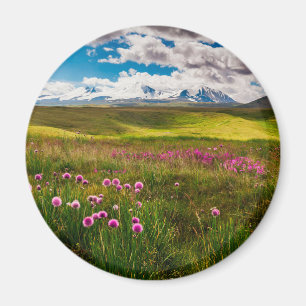 Bloemen Altai-bergen, Siberië, Rusland Magneet