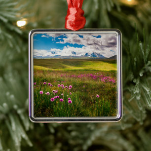 Bloemen Altai-bergen, Siberië, Rusland Metalen Ornament