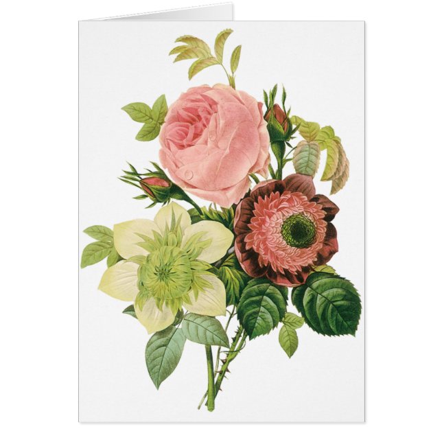  bloemen, Anemone Rozen Clematis door Redoute (Voorkant)