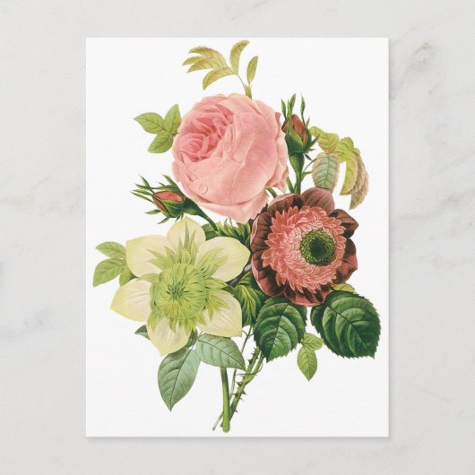  bloemen, Anemone Rozen Clematis door Redoute Briefkaart (Voorkant)