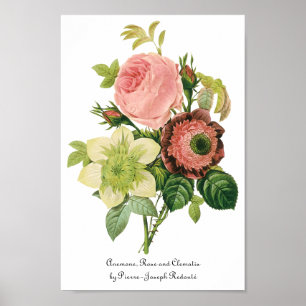 bloemen, Anemone Rozen Clematis door Redoute Poster