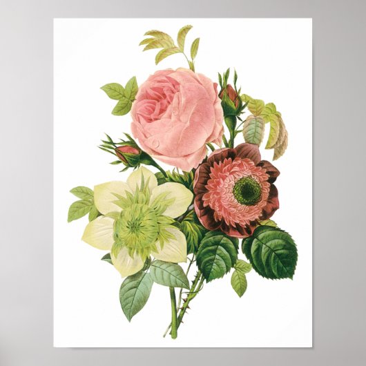 bloemen, Anemone Rozen Clematis door Redoute Poster (Voorkant)