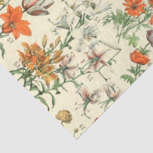  bloemen Antiek botanische flora Tissuepapier (Detail)