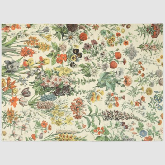  bloemen Antiek botanische flora Tissuepapier (Voorkant)